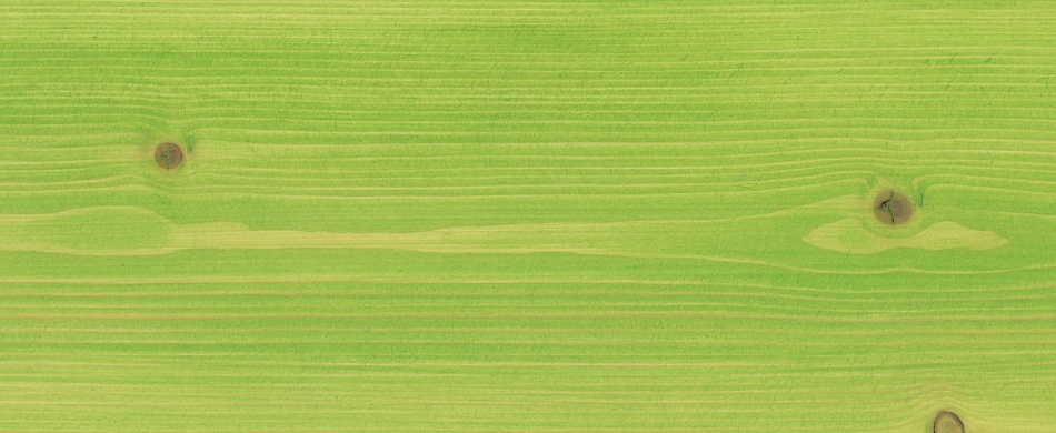 Светло-зелёный, 2001